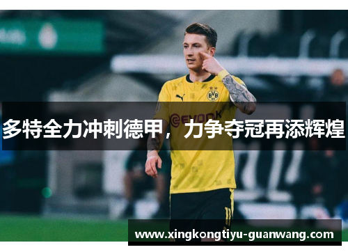多特全力冲刺德甲，力争夺冠再添辉煌